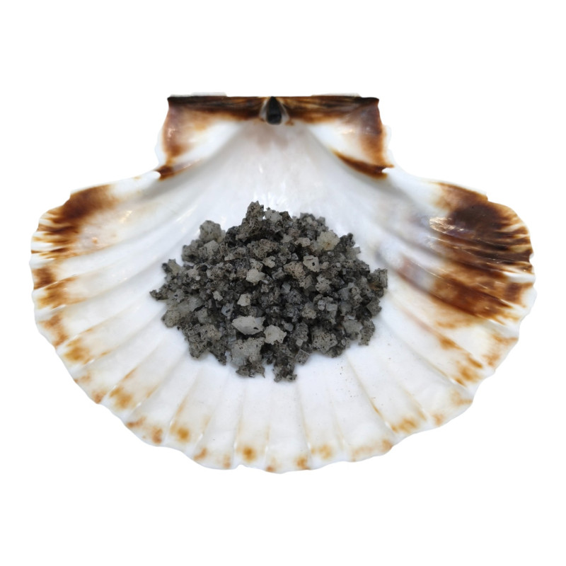 Sel Noir de Protection 215 g (Sel IGP Guérande)