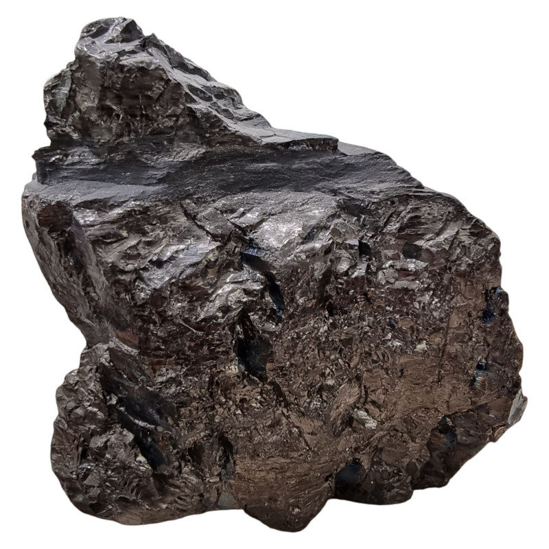 Pierre Brute Shungite 802 g