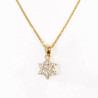 Pendentif Zirconium Etoile avec Chaîne Acier Inox Plaqué or 44 cm