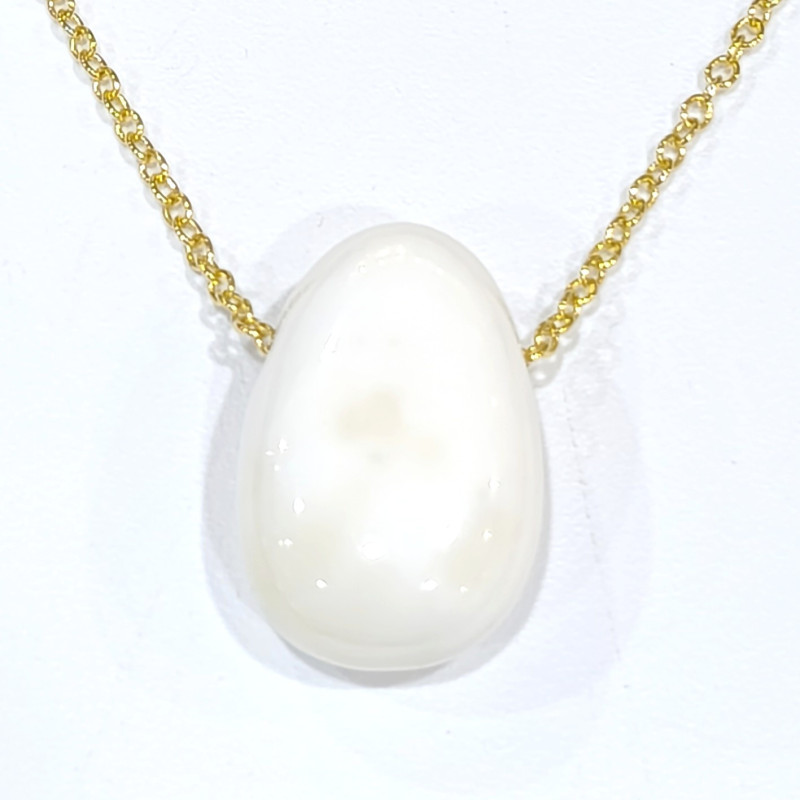 Pendentif Coquille de Bénitier ( Tricdane Géant) sur Chaîne Plaquée or 21 + 2 cm