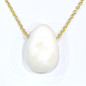 Pendentif Coquille de Bénitier ( Tricdane Géant) sur Chaîne Plaquée or 21 + 2 cm