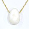 Pendentif Coquille de Bénitier ( Tricdane Géant) sur Chaîne Plaquée or 42 + 2 cm
