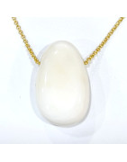 Pendentif Coquille de Bénitier ( Tricdane Géant) sur Chaîne Plaquée or 42 + 5 cm