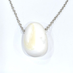 Pendentif Coquille de Bénitier ( Tricdane Géant) sur Chaîne Acier inox 42 + 5 cm