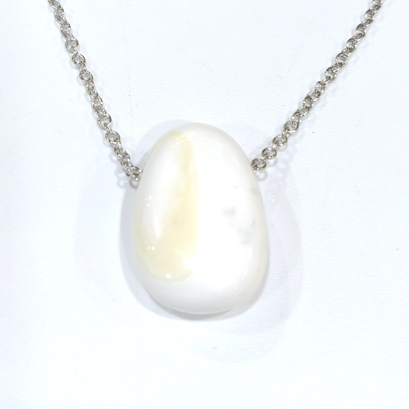 Pendentif Coquille de Bénitier ( Tricdane Géant) sur Chaîne Acier inox 42 + 5 cm