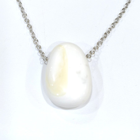 Pendentif Coquille de Bénitier ( Tricdane Géant) sur Chaîne Acier inox 42 + 5 cm