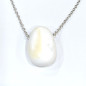 Pendentif Coquille de Bénitier ( Tricdane Géant) sur Chaîne Acier inox 21 + 5 cm