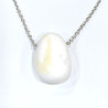 Pendentif Coquille de Bénitier ( Tricdane Géant) sur Chaîne Acier inox 42 + 5 cm