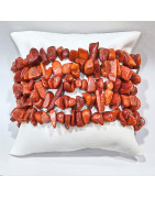 Bracelet Corail Gorgone Rouge Baroque