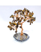 Arbre du Bonheur Œil de Tigre 12 cm