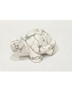 Tortue Howlite 5cm