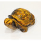 Tortue Œil de Tigre 5cm