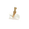 Bague Bélier Bronze et Plaquée Or Taille 52