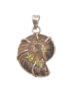 Pendentif Ammonite Côté Droit Argent 925