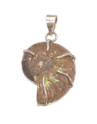 Pendentif Ammonite Côté Gauche Argent 925