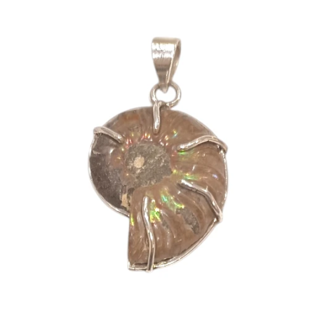 Pendentif Ammonite Côté Gauche Argent 925