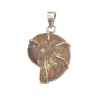 Pendentif Ammonite Côté Gauche Argent 925