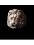 Bague Tête de lion Argent 925 Taille 60