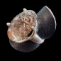 Bague Quartz hématoïde Argent 925 Taille 56