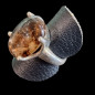 Bague Quartz Lodolite Argent 925 Taille 55