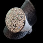 Bague Nacre émaillée Acier inox Taille 56