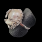 Bague Perle Argent 925 Taille 57