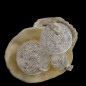 Bague Cristal de roche et coquillage Taille 51