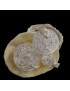 Bague Cristal de roche et coquillage Taille 51