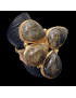 Bague Labradorite Niiki PARIS bronze plaqué or Taille réglable