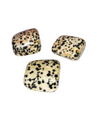 Pierre roulée Jaspe Dalmatien