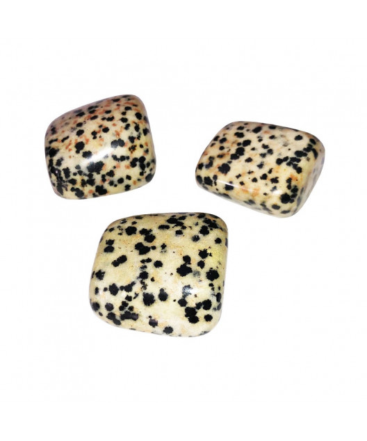 Pierre roulée Jaspe Dalmatien