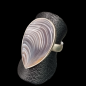 Bague Agate du Botswana Argent 925 Taille 55