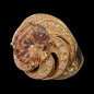 Bague Zirconium Bronze plaqué or Taille 56