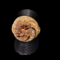 Bague Zirconium Bronze plaqué or Taille 56