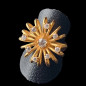 Bague Zirconium Bronze plaqué or Taille 56