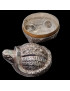 Boîte Animal Tortue Argent