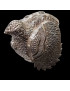 Boîte Animal Poule Argent