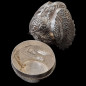 Boîte Animal Poule Argent