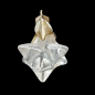 Pendentif Cristal de roche Etoile Argent 925