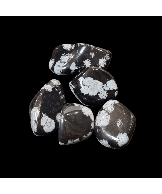 Pierre Roulée Obsidienne Neigeuse