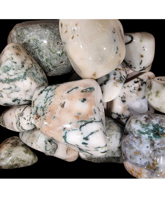 Pierre roulée Agate arbre