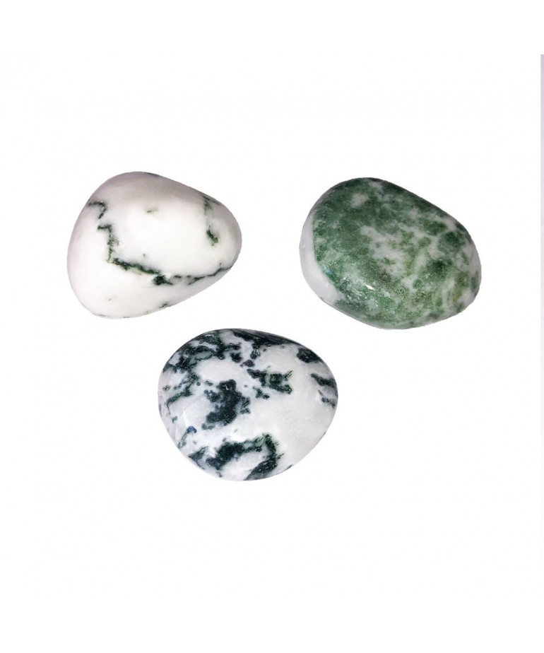Pierre roulée Agate arbre