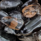 Pierre roulée Quartz fumé