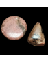 Pierre roulée percée  Rhodonite