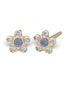 Kit de perçage oreilles + boucles d'oreilles acier chirurgical Daisy cœur saphir bleu