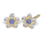 Kit de perçage oreilles + boucles d'oreilles acier chirurgical Daisy cœur saphir bleu