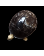 Tortue Quartz fumé
