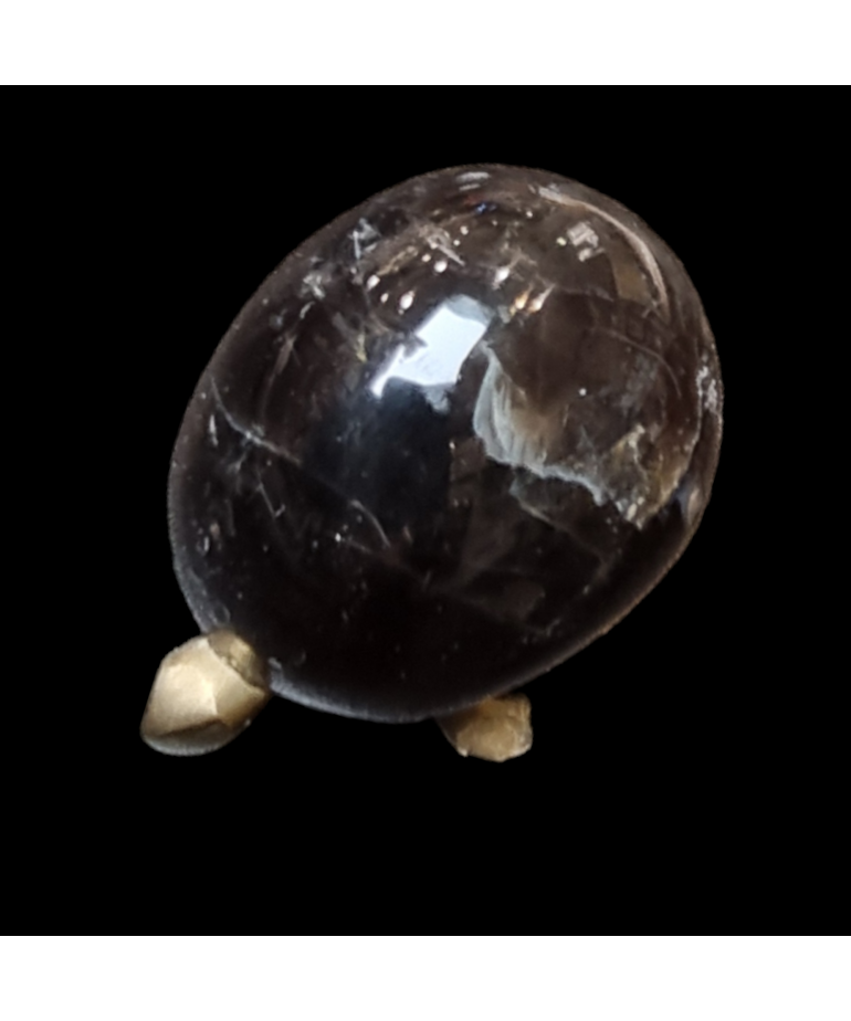 Figurine Quartz fumé Tortue