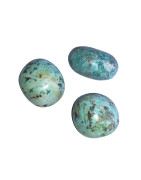 Pierre roulée Chrysocolle