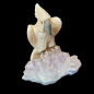 Oiseau Calcite jaune sur Améthyste